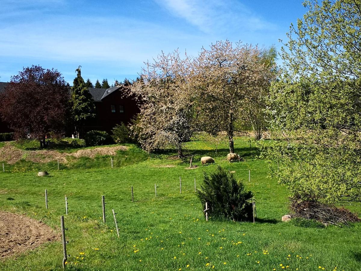 Ferienwohnungen 1 Bis 4 "Pumphut'S Scheune" Lengenfeld  Luaran gambar